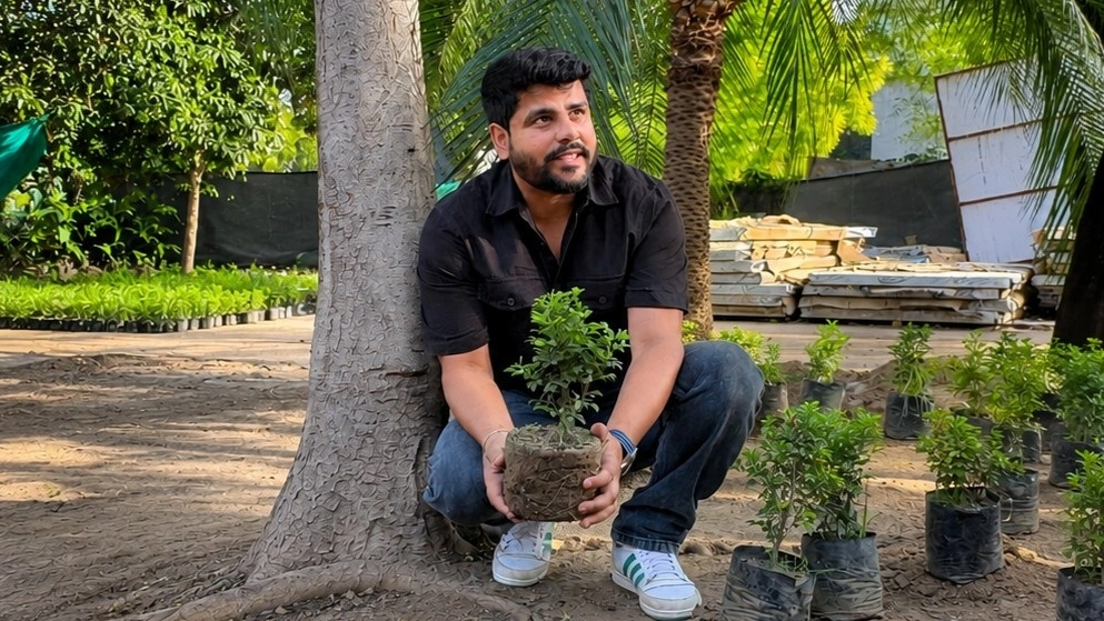 Volunteers working together in a plantation drive