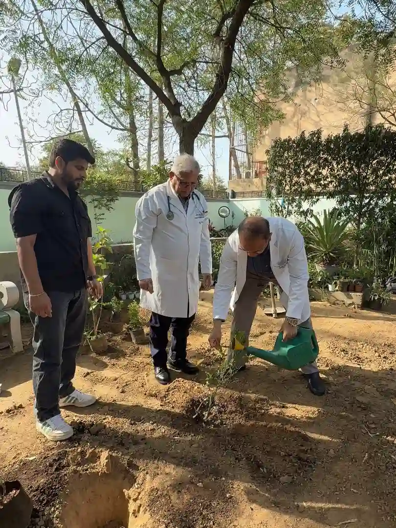 Plant Trees Today for a Greener Tomorrow