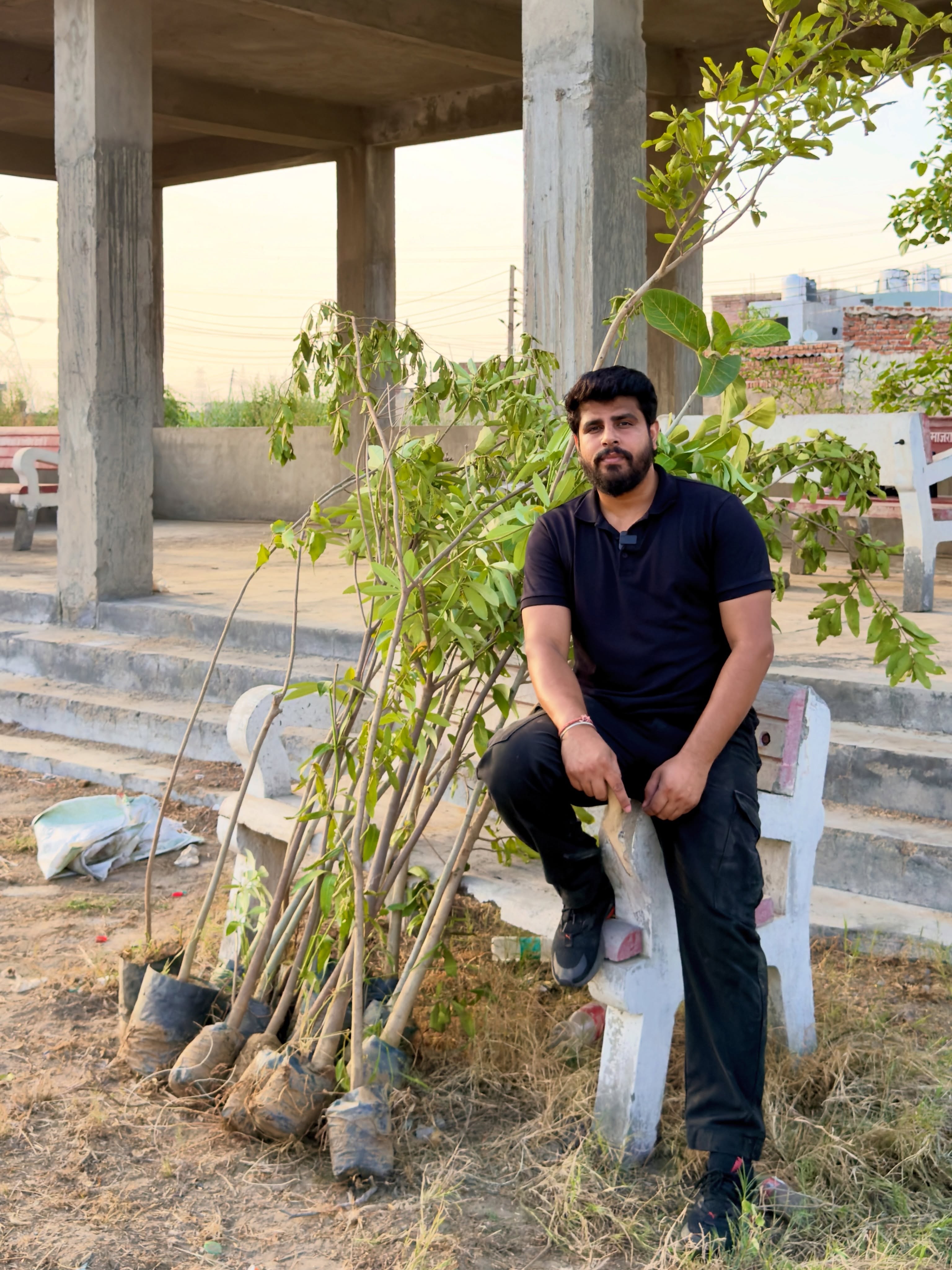 Tree Plantation in Cities