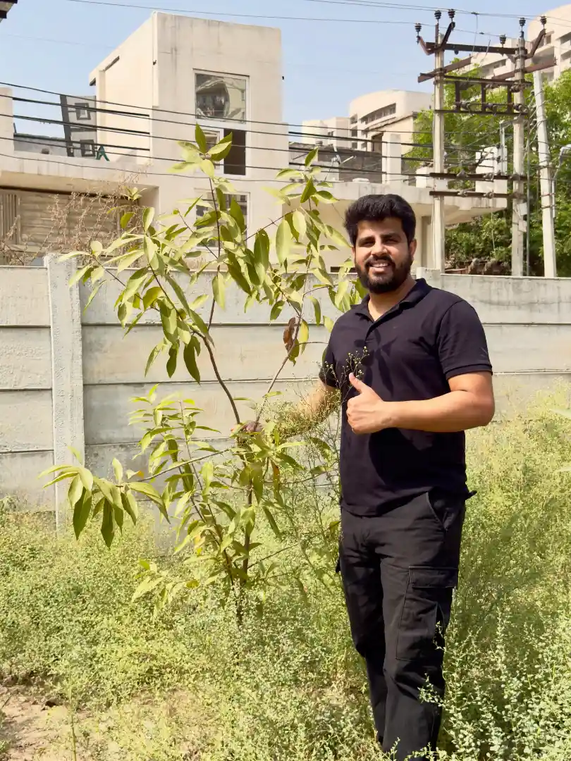 Tree Plantation in Cities