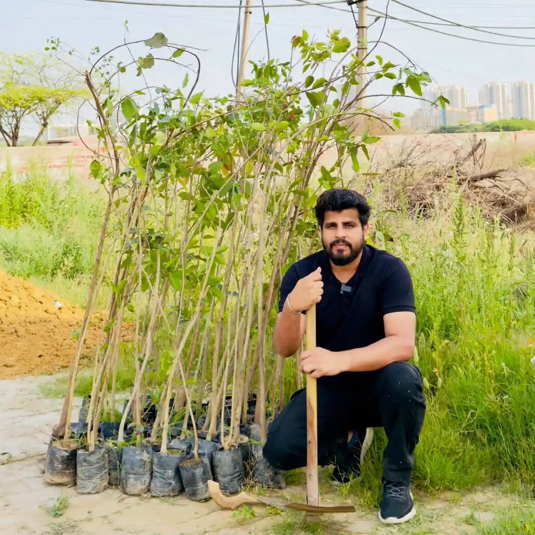 School Plantation in Haryana with Students